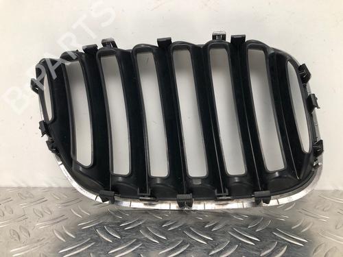 Grille BMW X5 (E53) 3.0 d | BP29033446C40 