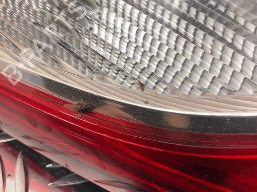 Right tailgate light FORD GRAND C-MAX (DXA/CB7, DXA/CEU) 1.5 TDCi | BP30089686C80