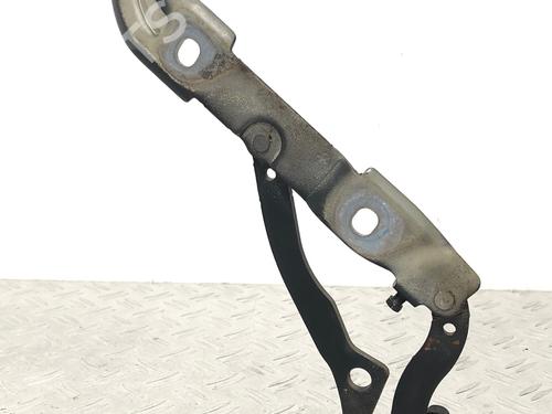 Hinge/Door check strap BMW 3 Coupe (E92) 335 i | BP29037168C146 