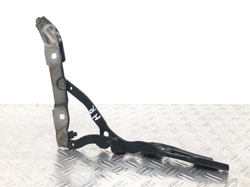 Hinge/Door check strap BMW 3 Coupe (E92) 335 i | BP29034666C146 