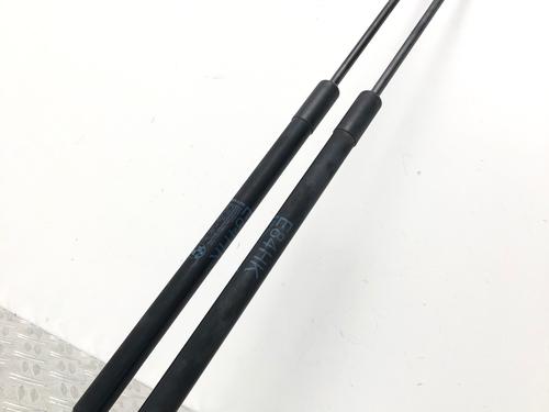 Used Tailgate lift support BMW X1 (E84) sDrive 18 d (143 hp) 29037702
