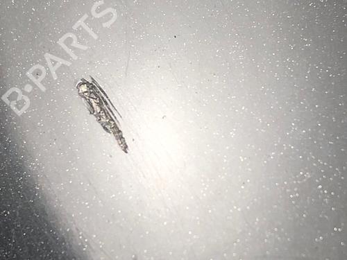 Right mirror OPEL CORSA D (S07) 1.2 (L08, L68) | BP29033531C27