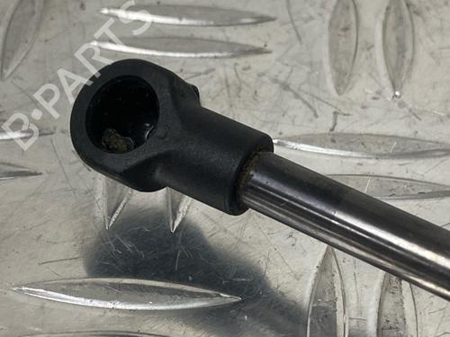 Tailgate lift support VW GOLF VII (5G1, BQ1, BE1, BE2) 1.2 TSI | BP29037197C138 