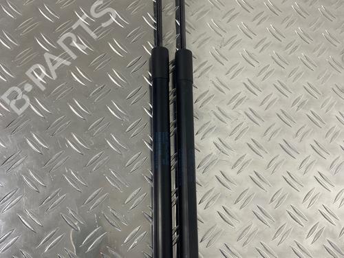 Used Tailgate lift support VW GOLF VII (5G1, BQ1, BE1, BE2) 2.0 TDI (150 hp) 29030861