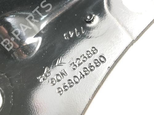 Hinge/Door check strap PEUGEOT PARTNER Tepee 1.6 HDi 90 | BP32031348C146