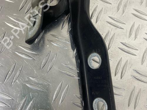 Hinge/Door check strap AUDI A3 (8P1) 1.2 TSI | BP29036798C146 