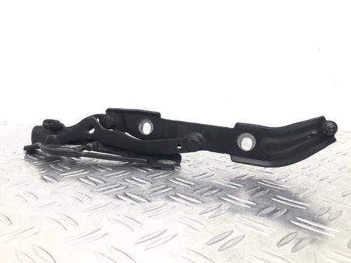 Hinge/Door check strap BMW 3 Coupe (E92) 335 i | BP29037168C146 