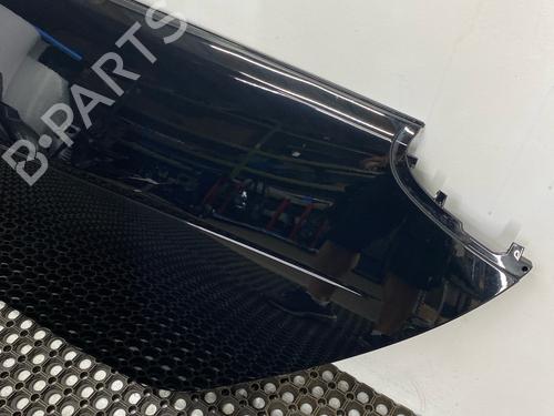 Left front door SMART FORTWO Coupe (451) 1.0 (451.331, 451.380) | BP29032164C2 