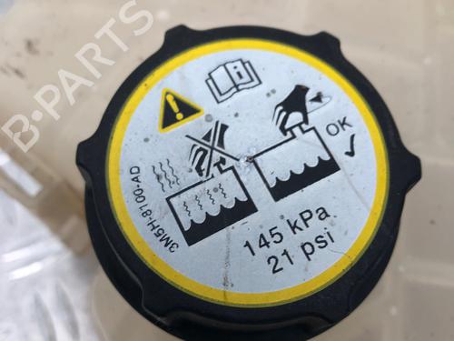 Expansion tank FORD FIESTA VI (CB1, CCN) 1.25 | BP29034215C120 