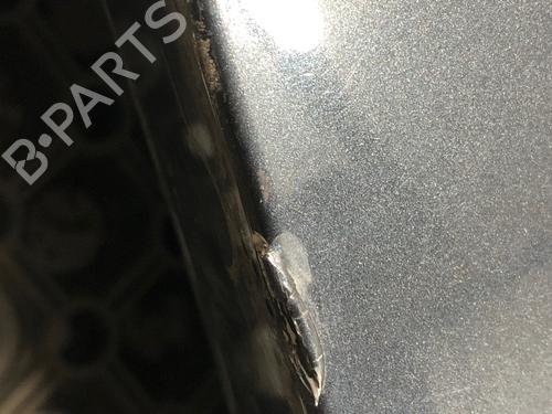 Tailgate FORD GALAXY II (WA6) 2.2 TDCi | BP29036204C6 