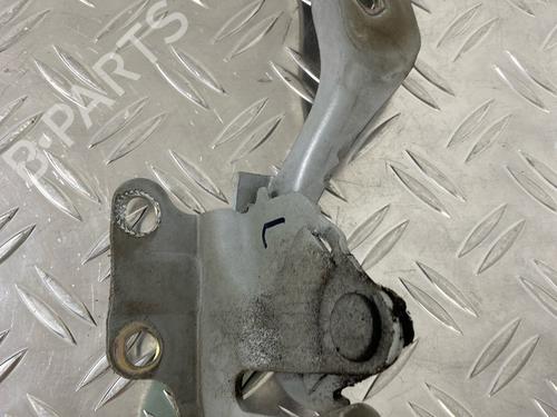 Hinge/Door check strap HYUNDAI i10 I (PA) 1.1 | BP29034406C146 
