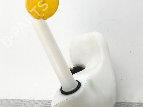 Windscreen washer tank RENAULT SCÉNIC III (JZ0/1_) 1.2 TCe | BP29036024C113 