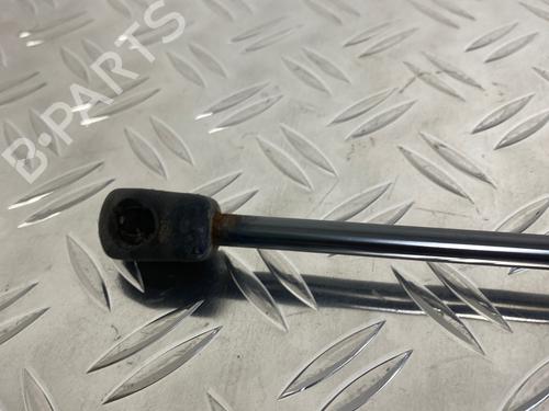 Hood lift support VW GOLF VII (5G1, BQ1, BE1, BE2) 2.0 TDI | BP29030654C139 