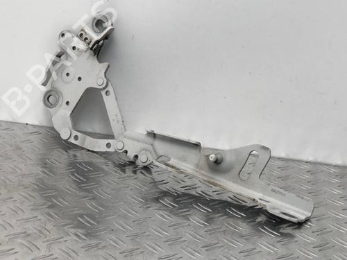 Hinge/Door check strap BMW 1 (F20) 116 d | BP29034987C146 