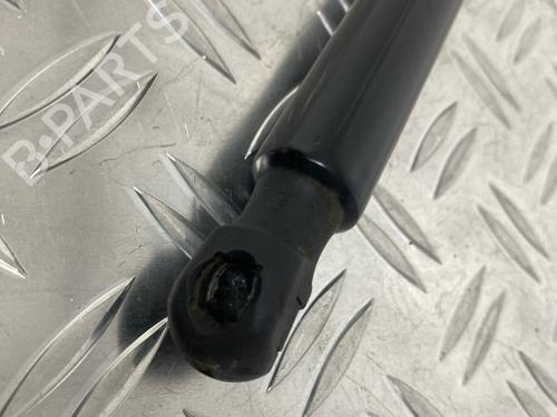 Tailgate lift support VW GOLF VII (5G1, BQ1, BE1, BE2) 1.2 TSI | BP29037197C138 