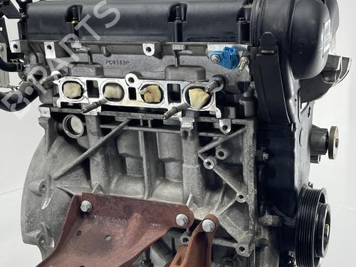 Engine FORD FIESTA VI (CB1, CCN) 1.25 | BP29036188M1 