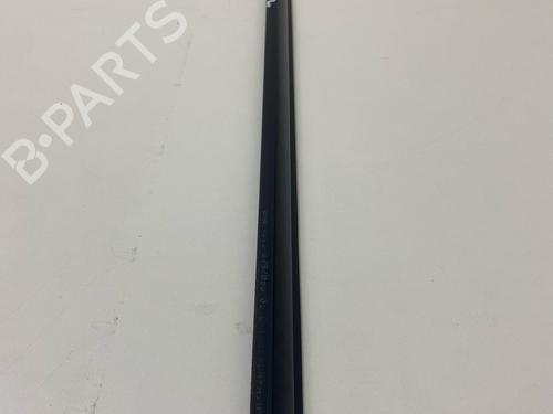 Door moulding trim BMW 3 Coupe (E92) 330 i | BP29031099C150 