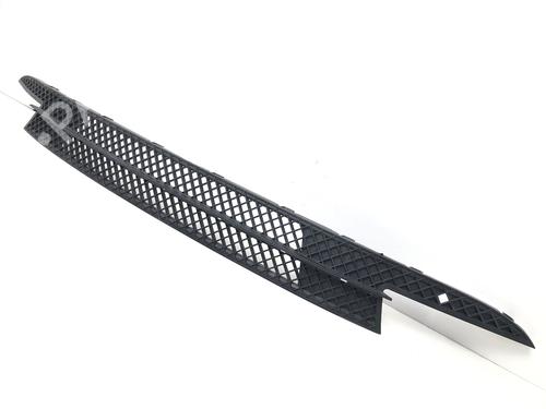Grille BMW 1 (E87) 120 i | BP29036895C40 