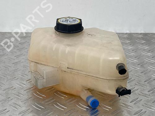 Used Expansion tank FORD FIESTA VI (CB1, CCN) 1.25 (60 hp) 29034243