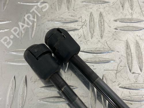 Tailgate lift support FORD FIESTA VI (CB1, CCN) 1.25 | BP29036696C138 