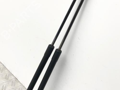 Tailgate lift support NISSAN MICRA III (K12) 1.2 16V | BP29035563C138 