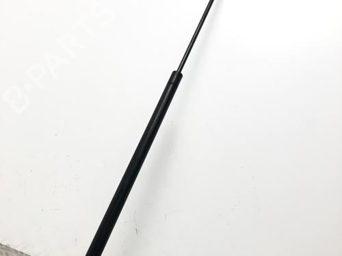 Ammortizzatore portellone posteriore MERCEDES-BENZ S-CLASS Coupe (C215) CL 600 (215.376) (500 hp) 31069293