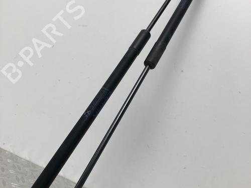 Tailgate lift support BMW X1 (E84) sDrive 18 d | BP29037702C138 