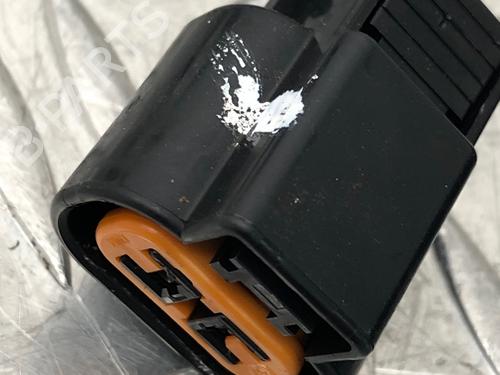 Wiring harness HYUNDAI i20 III (BC3, BI3) 1.0 T-GDI | BP29187279E16