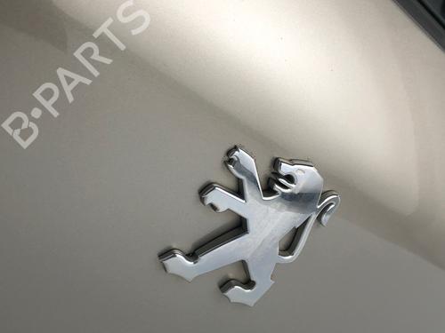 Tailgate PEUGEOT 3008 I MPV (0U_) 1.6 HDi | BP30804788C6