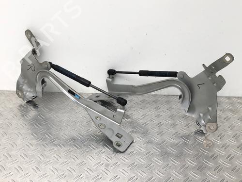 Used Hinge/Door check strap RENAULT SCÉNIC III (JZ0/1_) 1.2 TCe (116 hp) 29035394
