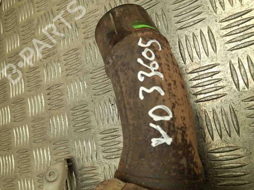 Catalyst ALFA ROMEO GIULIA (952_) 2.9 Quadrifoglio (952AAM24) | BP28944316M10 