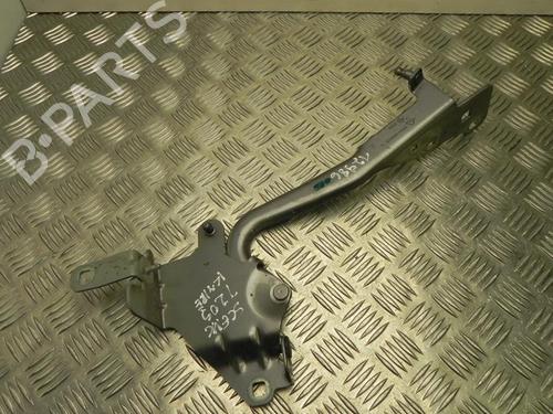 Hinge/Door check strap RENAULT SCÉNIC III (JZ0/1_) 1.5 dCi | BP28928285C146 