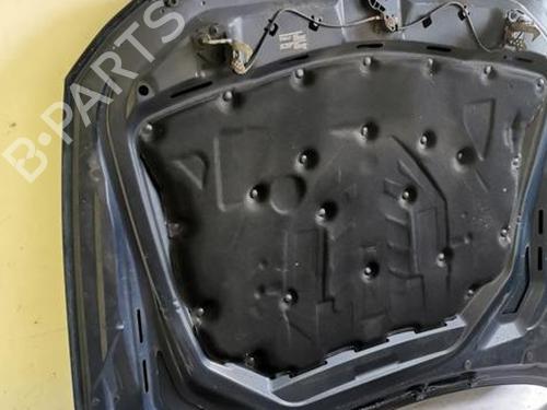 Hood BMW 5 Touring (F11) 525 d | BP28945834C1 