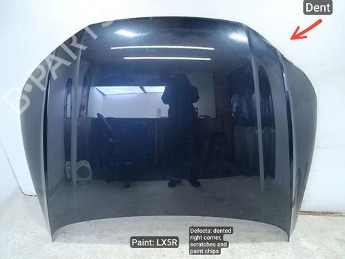 Used Hood Hood AUDI Q5 (FYB, FYG) 2.0 TFSI quattro (252 hp) 33662009 33662009