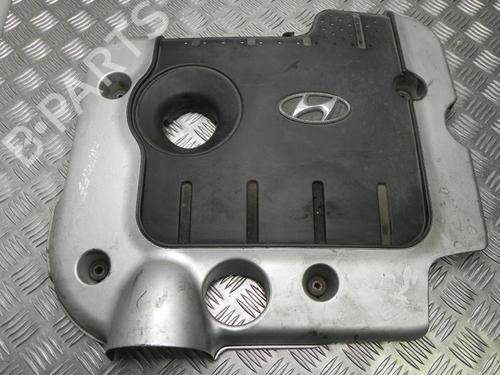 Used Upper protection HYUNDAI SANTA FÉ II (CM) 2.2 CRDi (139 hp) 28930501