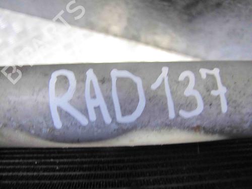 Køler FORD FIESTA VI (CB1, CCN) 1.6 Ti | BP28921546M31 