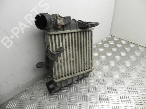 Intercooler Intercooler SKODA FABIA I (6Y2) 1.4 TDI (75 hp) 37579582 37579582