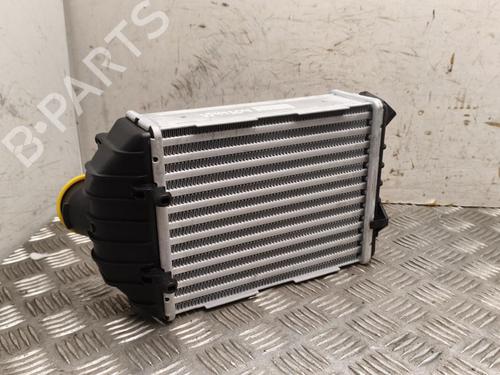 Intercooler VW PASSAT B5.5 (3B3) 2.5 TDI | BP39967594M30 - Image 2