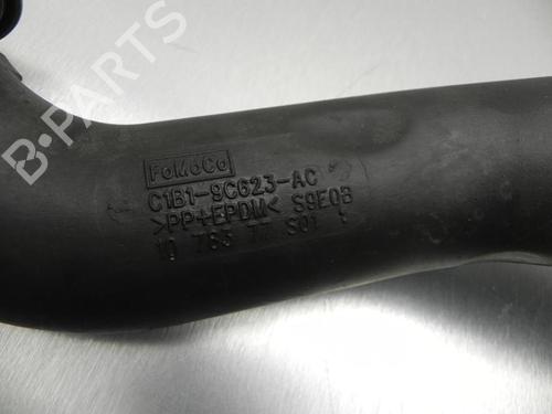 Pipe FORD FIESTA VI (CB1, CCN) 1.0 EcoBoost | BP37576181M125 - Image 2