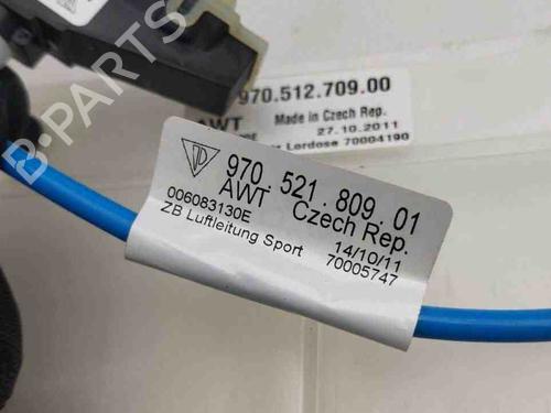 Electronic module PORSCHE PANAMERA (970) 4.8 Turbo | BP28909899M83 