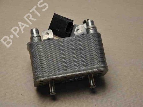 Køler BMW X3 (G01, F97, G08) iX3 | BP28912449M31