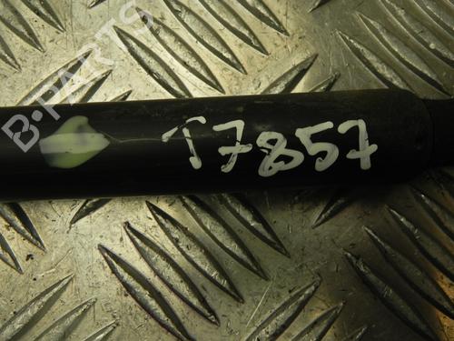 Tailgate lift support FORD FOCUS III 1.6 TDCi | BP28919205C138 