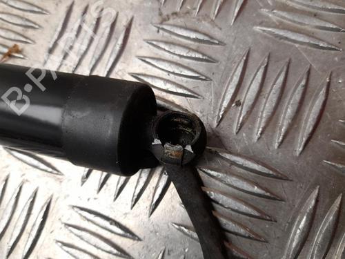 Tailgate lift support PORSCHE PANAMERA (970) 3.0 D | BP28925701C138 