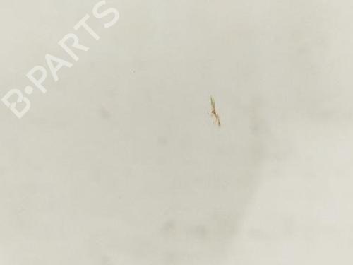 Vindrute ROLLS-ROYCE GHOST I (RR4) V12 | BP28926415C63