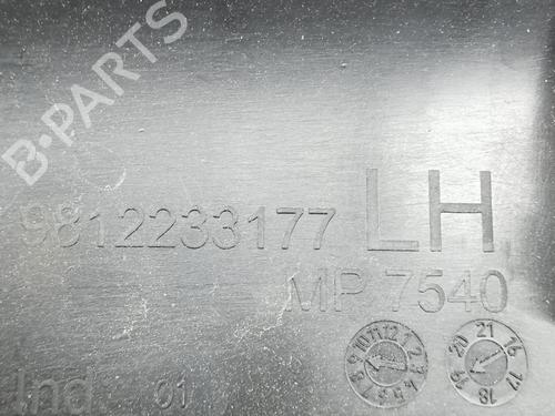Step CITROËN C3 III (SX) 1.2 THP 110 (SXHNPS, SXHNZT, SXHNZ6) | BP28912163C149 