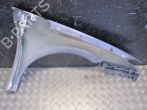 Left front fenders RENAULT LAGUNA III Grandtour (KT0/1) 2.0 dCi (KT01, KT08, KT09, KT0K, KT12, KT1D, KT1W) | BP28919127C41 
