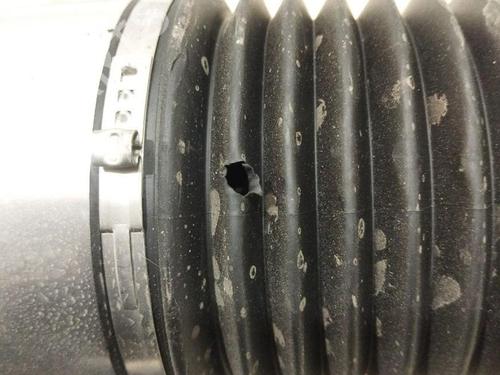 Right rear shock absorber BENTLEY CONTINENTAL FLYING SPUR (3W_) 6.0 FLEX | BP28913145M19 