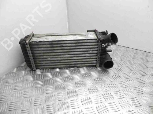 Used Intercooler FORD C-MAX (DM2) 1.6 TDCi (109 hp) 28947440
