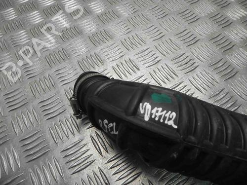 Pipe NISSAN QASHQAI II (J11, J11_) 1.2 DIG-T | BP28912110M125