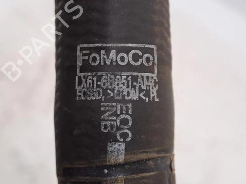 Pipe FORD KUGA II VAN 1.5 EcoBoost | BP29811762M125